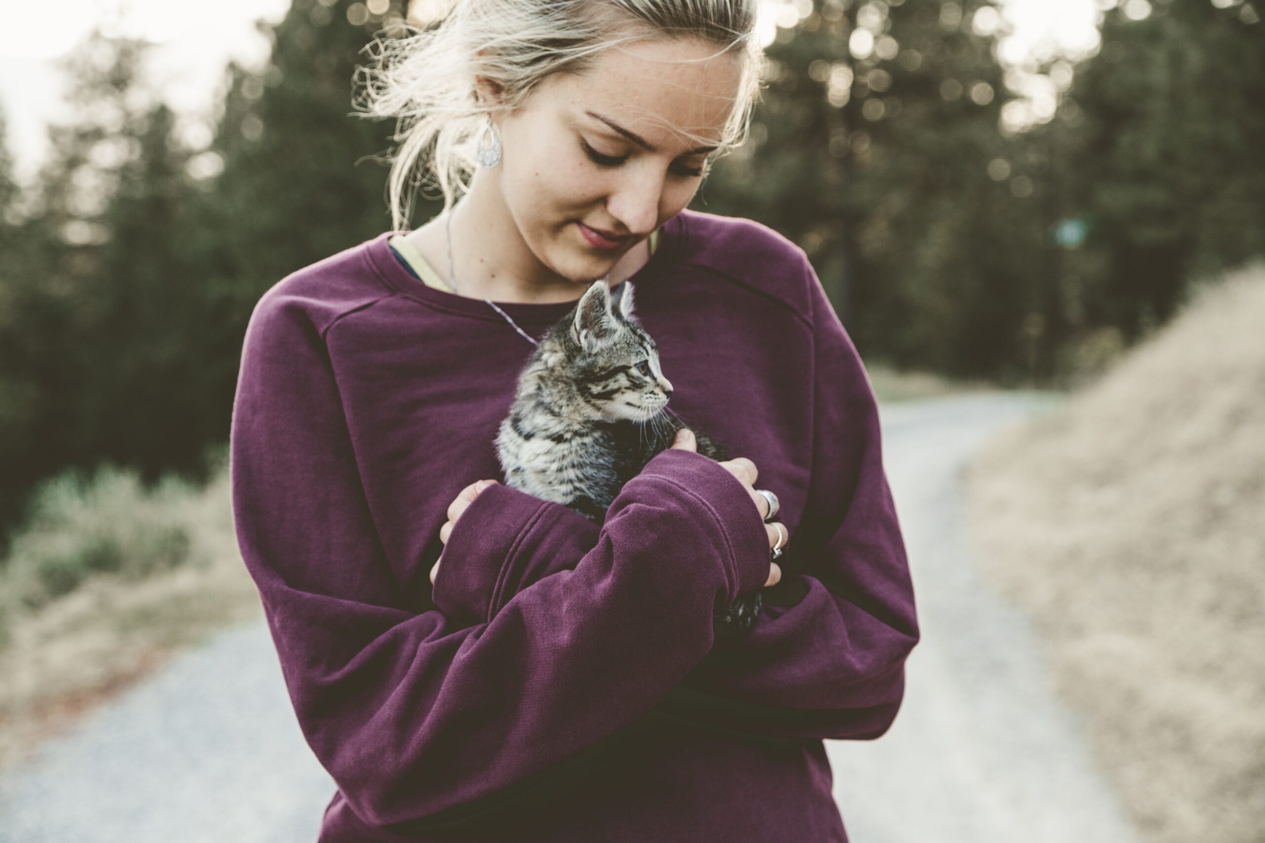 10 Ways to Celebrate National Cat Lover’s Month