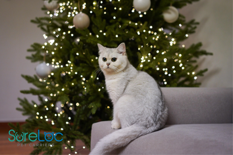 Keep Your Cat Safe This Christmas